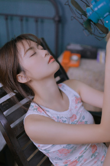 投狼送豹